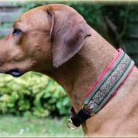 Halsband ORIENTAL mit Zugstopp für deinen Hund, Hundehalsband in verschiedene Farben Bild 5