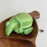 Der güldene Erbsfrosch, Froschskulptur, Teak, Teakschale, Froschkönig, schlafender Frosch, Frosch Bild 10