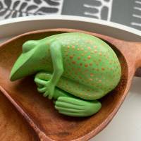 Der güldene Erbsfrosch, Froschskulptur, Teak, Teakschale, Froschkönig, schlafender Frosch, Frosch Bild 4