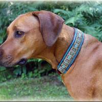 Halsband MEDIVAL mit Zugstopp für deinen Hund, Hundehalsband, Martingale Bild 9