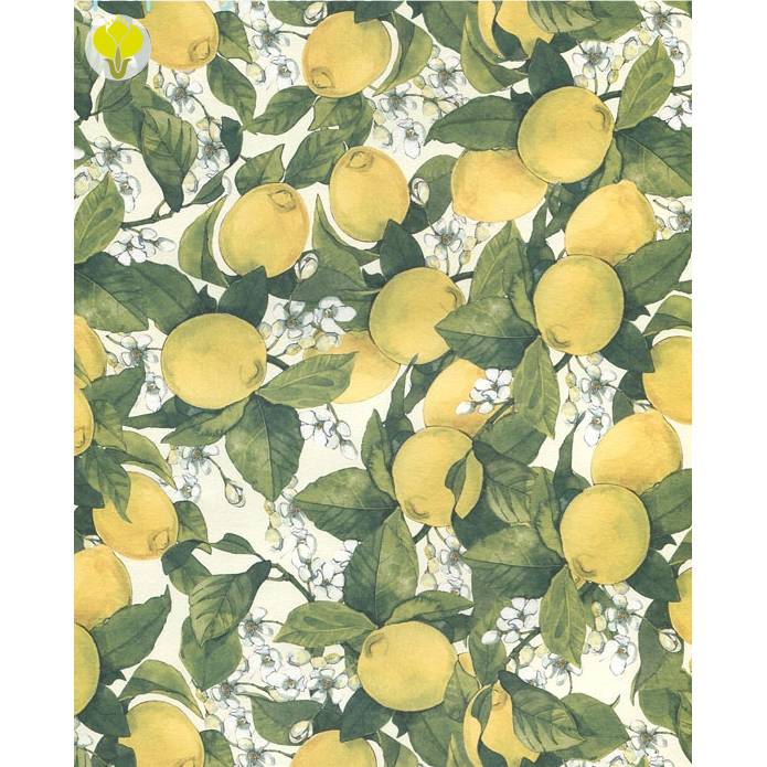 Geschenkpapier, italienisches Buntpapier Zitronen, z.B. für Seifenmanufakturen, 5 Bogen für 12,50 EUR Bild 1
