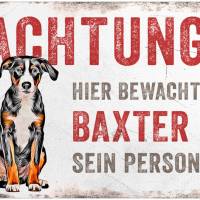Hundeschild ACHTUNG! (Appenzeller Sennenhund) mit Hundename, wetterbeständiges Warnschild Bild 1