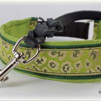 Halsband LEO mit Zugstopp für Hunde, Hundehalsband Martingale Bild 1