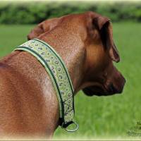 Halsband LEO mit Zugstopp für Hunde, Hundehalsband Martingale Bild 3