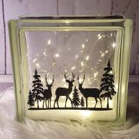 Glasbaustein, beleuchtet, Weihnachten Christmas, Hirsche stehend zwischen Tannen Bild 1