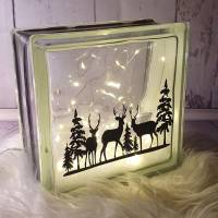 Glasbaustein, beleuchtet, Weihnachten Christmas, Hirsche stehend zwischen Tannen Bild 3