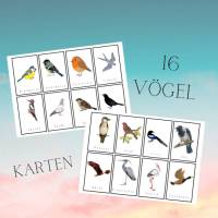 16 Vogelkarten Bild 1