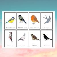 16 Vogelkarten Bild 2