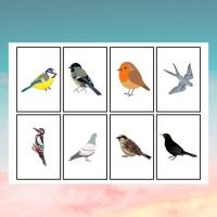16 Vogelkarten Bild 4