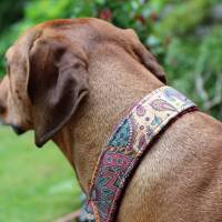 Halsband KORK mit Zugstopp, Hundehalsband mit tollen Mustern aus Korkleder, Hund, Martingale Bild 4