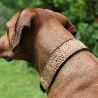 Halsband KORK mit Zugstopp, Hundehalsband mit tollen Mustern aus Korkleder, Hund, Martingale Bild 8