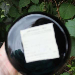 Vase Hyalithglas Schwarzglas Weinlaub Trauben Dekor Emaillefarben Handbemalt 50er 60er Jahre DDR Bild 7