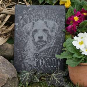 20 x 15 cm Gedenktafel für Tiere Schiefertafel inkl. Gravur als Gedenkstein personalisiert mit Foto und Wunschtext Bild 4