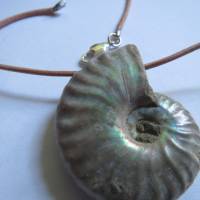 Ammonit irisierend, Rohstein, Anhänger, Lederband natur, Karabinerverschluß, Unikat, Kristallgrotte Bild 1