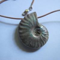 Ammonit irisierend, Rohstein, Anhänger, Lederband natur, Karabinerverschluß, Unikat, Kristallgrotte Bild 2