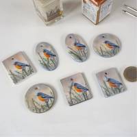 Handbemalter Kettenanhänger oder Lesezeichen mit Miniaturmalerei Vogel für Naturliebhaberin, Kunstgeschenke Bild 4