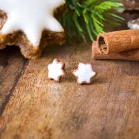 Zimtstern Mini - Ohrstecker Miniaturefood - Weihnachten - Mini - Cookies