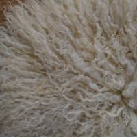 Kissen aus Wolllocken vom Zackelschaf - handgefilzt ohne Lederrückseite Bild 7