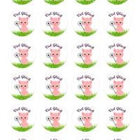 24 Sticker Etiketten Aufkleber, rund D= 4 cm, Viel Glück, Glücksschwein mit Pusteblume Bild 2