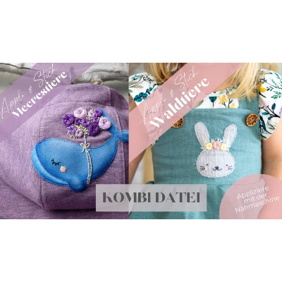 Kombi eBook Appli & Stick