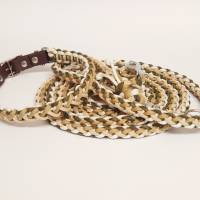 Set Halsband und Leine, in Wunschfarben, Paracordhalsband, Leine 2m 3-fach verstellbar, Hundeset, verstellbares Halsband Bild 1