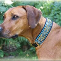 Halsband ORIENTAL mit Zugstopp für deinen Hund, Hundehalsband in verschiedene Farben und Breiten Bild 3