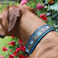 Halsband ORIENTAL mit Zugstopp, Hund, in verschiedenen Farben, Hundehalsband, Martingale Bild 10