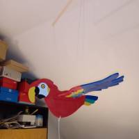 Schwingvogel-Papagei Bild 2