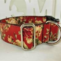 Hundehalsband "Wildrose" rot/gelb Halsband Outdoor verstellbar mit Klickverschluss Kunststoff oder Metall Bild 2