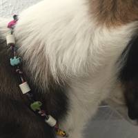 EM Keramik Halsband, Halskette, Schmuckband, Armband für Hund und Mensch - Elefanten Bild 5