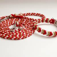 Set Halsband und Leine, in Wunschfarben, Paracordhalsband, Leine 2m 3-fach verstellbar, Hundeset Bild 1