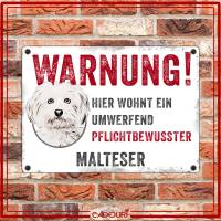 Hundeschild WARNUNG! mit Malteser, wetterbeständiges Warnschild Bild 2