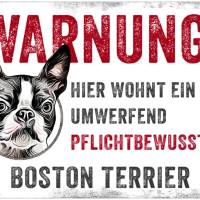 Hundeschild WARNUNG! mit Boston Terrier, wetterbeständiges Warnschild Bild 1
