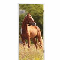 selbstklebendes Türbild - Pferd 0,9 x 2 m (16,66 €/m²) - Türtapete Türposter Klebefolie Dekorfolie Bild 1