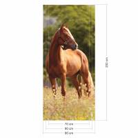 selbstklebendes Türbild - Pferd 0,9 x 2 m (16,66 €/m²) - Türtapete Türposter Klebefolie Dekorfolie Bild 2