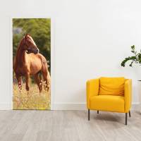 selbstklebendes Türbild - Pferd 0,9 x 2 m (16,66 €/m²) - Türtapete Türposter Klebefolie Dekorfolie Bild 3