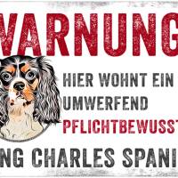 Hundeschild WARNUNG! mit Cavalier King Charles Spaniel, wetterbeständiges Warnschild Bild 1