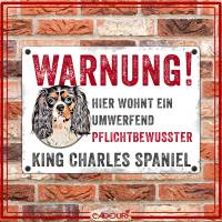 Hundeschild WARNUNG! mit Cavalier King Charles Spaniel, wetterbeständiges Warnschild Bild 2
