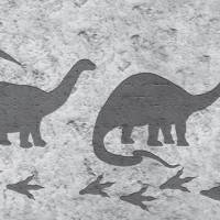 ECO Kinderbordüre: Dino-Spuren Steinoptik - braun grau - 18 cm Höhe Bild 6