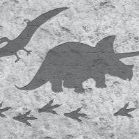 ECO Kinderbordüre: Dino-Spuren Steinoptik - braun grau - 18 cm Höhe Bild 7