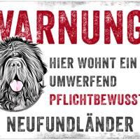Hundeschild WARNUNG! mit Neufundländer, wetterbeständiges Warnschild Bild 1