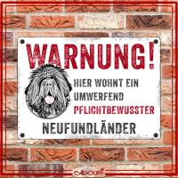Hundeschild WARNUNG! mit Neufundländer, wetterbeständiges Warnschild Bild 2