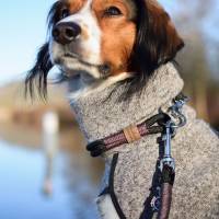 Hundehalsband, Tauhalsband, verstellbar, grau, weiß, Verschluss mit Leder und Schnalle, edel und hochwertig Bild 10