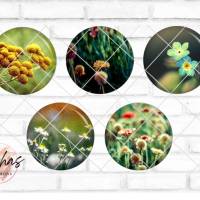 Glas Cabochon mit Motiv Dotterblume, Blumen, Blumenwiese, Fotocabochon, Handmade Cabochon, verschiedene Größen, Motivcab Bild 1