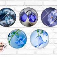 Glas Cabochon mit Motiv Blumen Glockenblumen blau, Fotocabochon, Handmade Cabochon, verschiedene Größen, Motivcabochon Bild 1