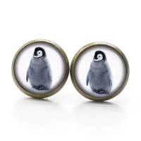 Ohrstecker, Ohrhänger, Clipse Pinguin Babypinguin Winter Tiere - verschiedene Größen - Edelstahl Bild 3