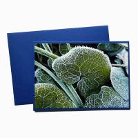 Postkarte handgemacht mit Fotomotiv aus der Natur Blätter bei Frost Bild 1
