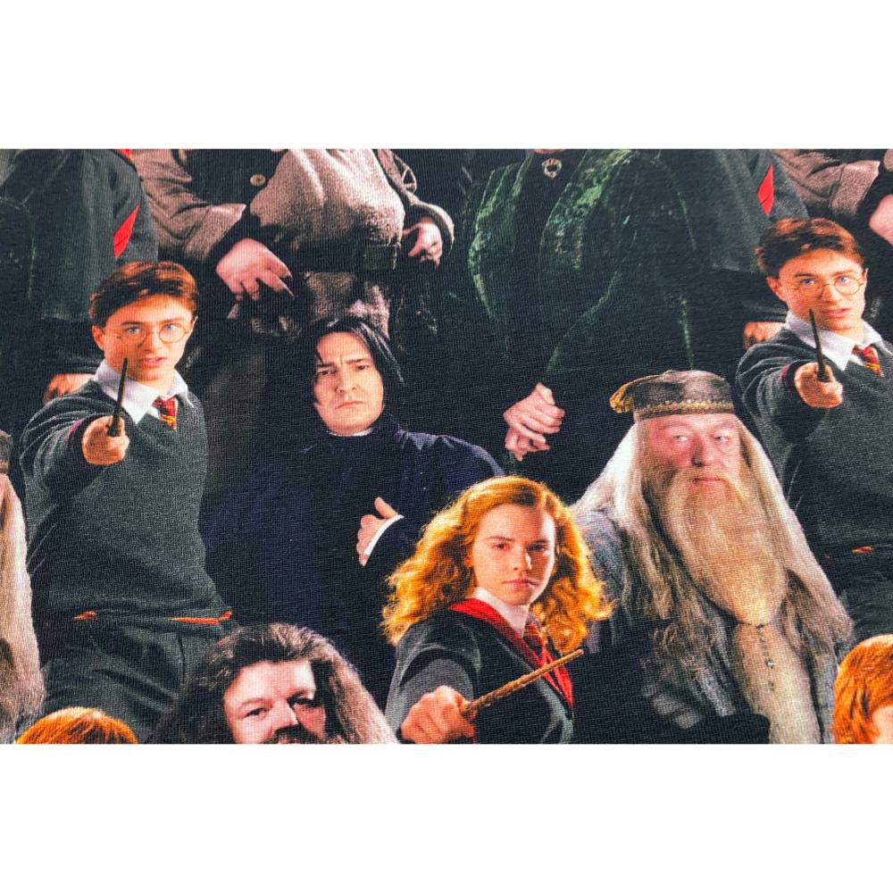 Harry Potter Jersey - 19,80 EUR/m - Hermine - Ron - Dumbledore - Hagrid - Snape - McGonagal - Lizenzstoff Bild 1