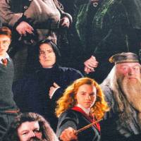 Harry Potter Jersey - 19,80 EUR/m - Hermine - Ron - Dumbledore - Hagrid - Snape - McGonagal - Lizenzstoff Bild 1