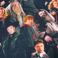 Harry Potter Jersey - 19,80 EUR/m - Hermine - Ron - Dumbledore - Hagrid - Snape - McGonagal - Lizenzstoff Bild 2